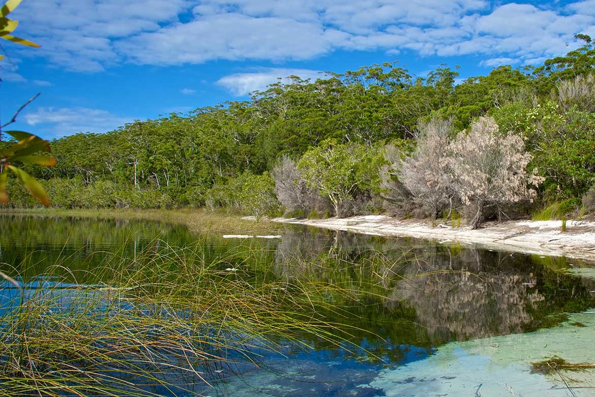 Fraser Island Research & Education Centre | Kingfisher Bay Resort | K ...